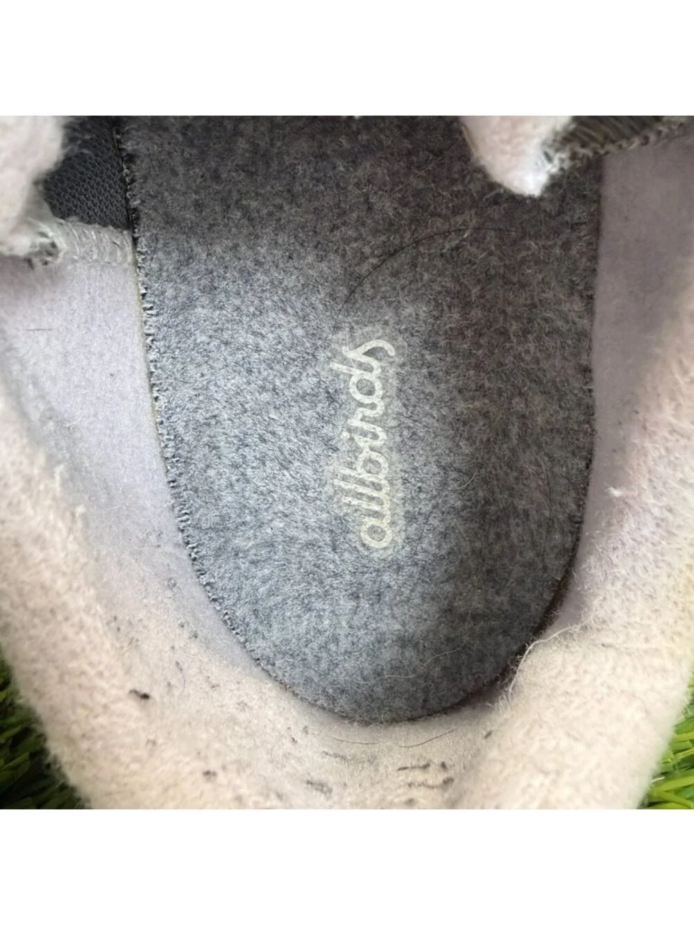allbirds please review